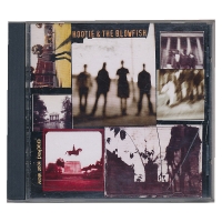 CD Hootie and the blowfish - Cracked rear view - USA