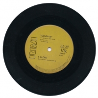 Vinilo Simple Tormenta - Cebando mate