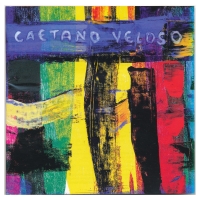 Tapas CD Caetano Veloso - Livro